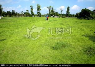 青青青草国产,探寻青青青草国的绿色奇迹